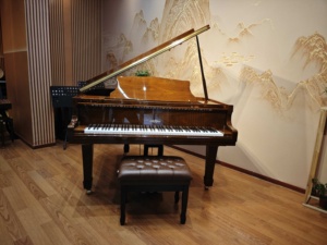 2025 Antique Deluxe Walnut Grand Piano Restored German Quality - Product Image 3