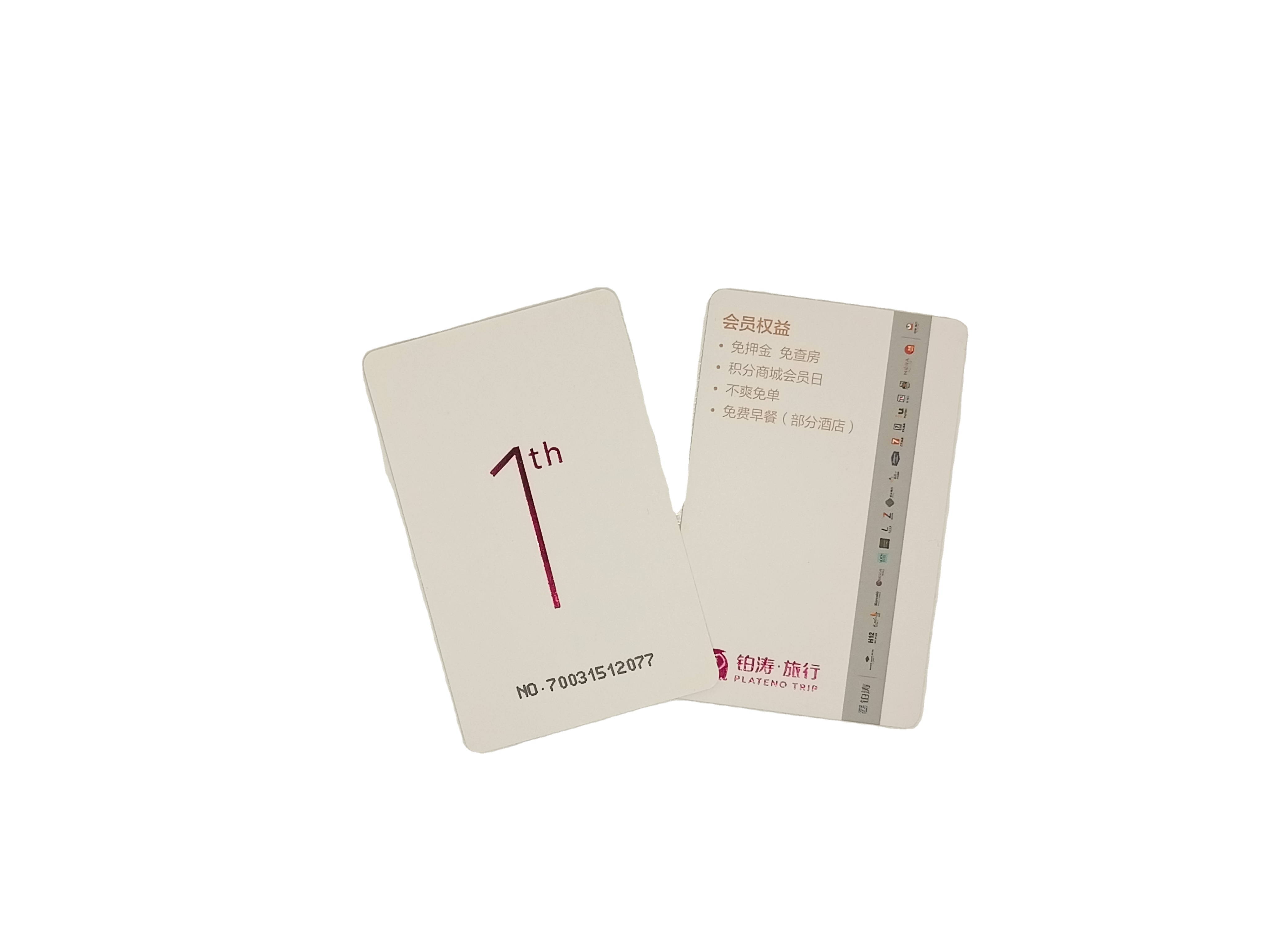 Custom design hot Stamping CR80 Paper VIP Membership Card