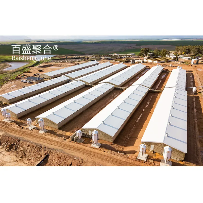 steel frame pig farm structures building design prefabricated steel poultry pig house