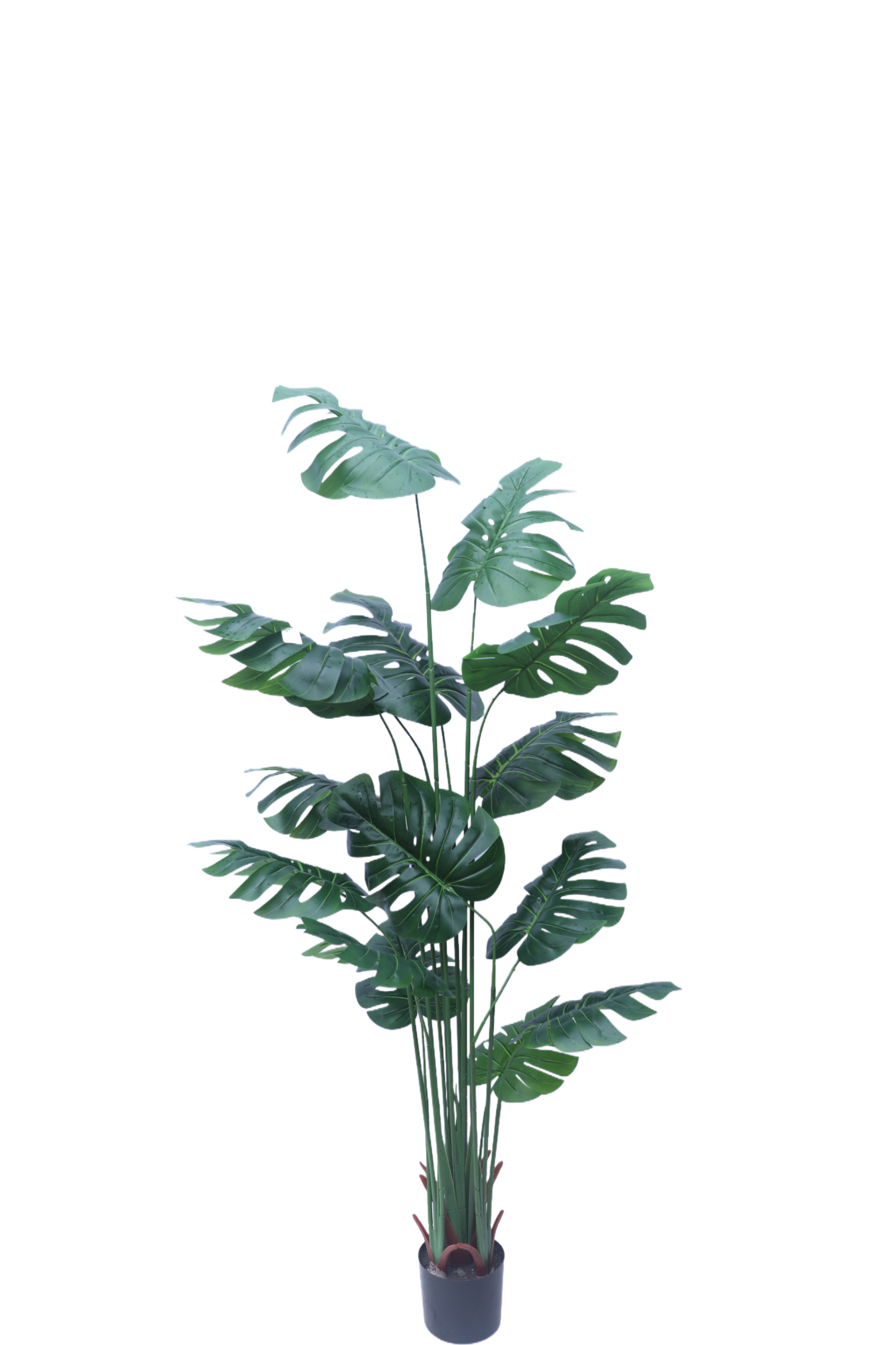 Vert 6.23ft/190cm