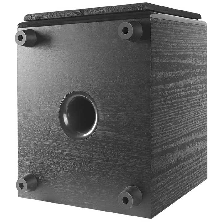 10 Inch 120W 4ohm Big Punchy Subwoofer With 120mm Large Magnet