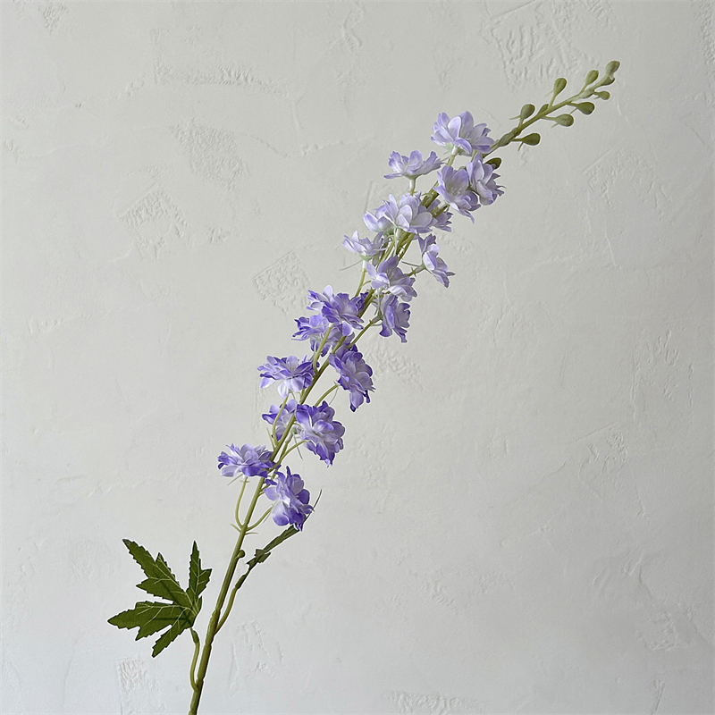 Pourpre