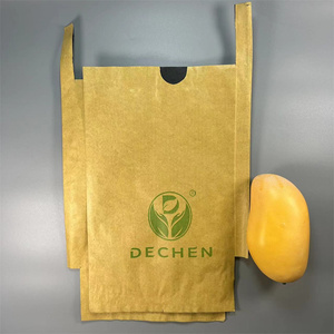 Fruit Cover Protection: Guava Fruit Protection Bag - Product Image 1
