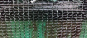 Landwirtschaft liches Schatten netz Climate Control Shade Net Hergestellt von Virgin HDPE und UV-Stabilität