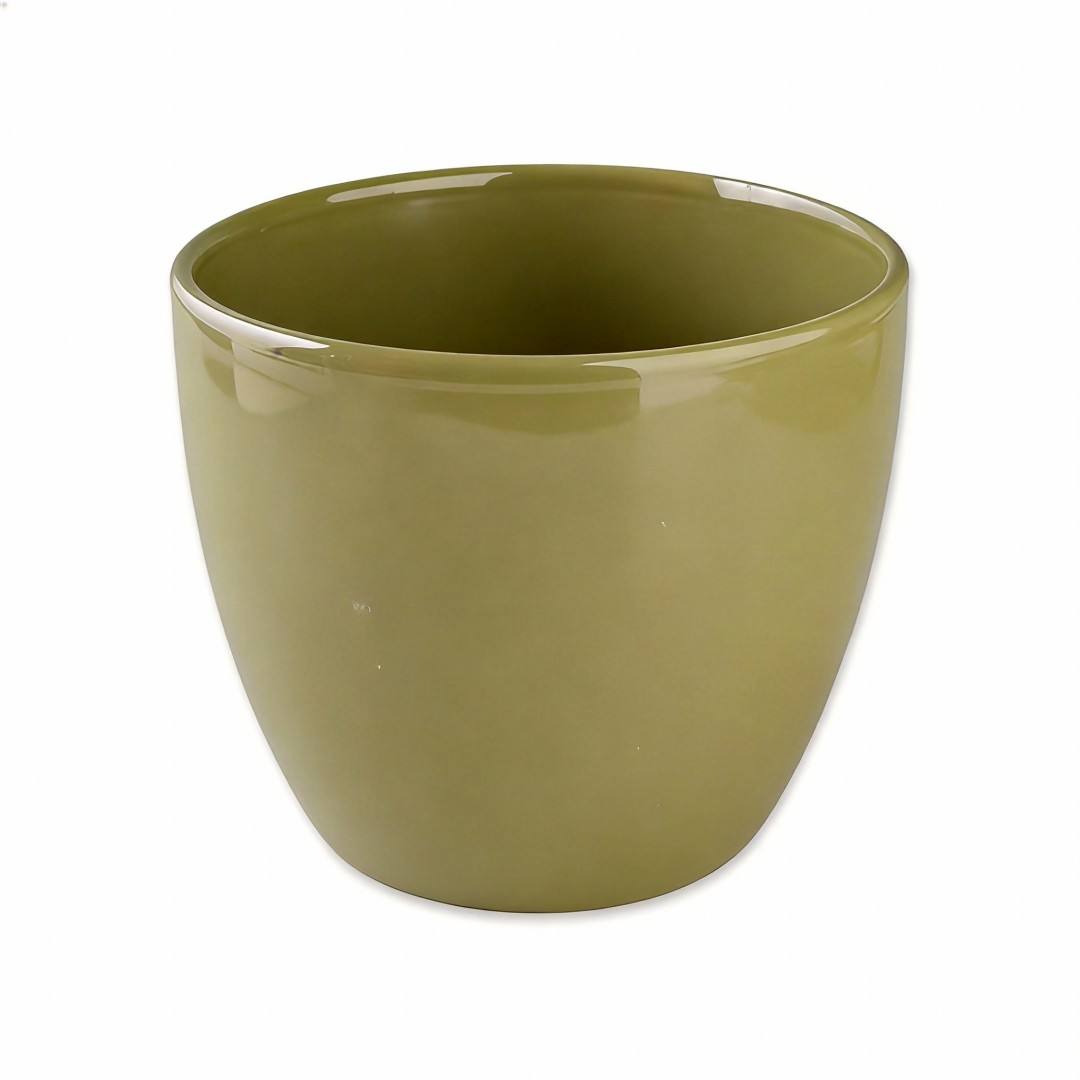 สีดำสีกากี