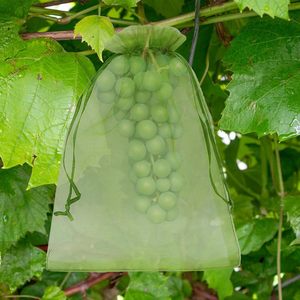 <strong>Garden</strong> Plant Fruit Protect Drawstring <strong>Net</strong> Bag Insects Mosquito <strong>Bug</strong> and <strong>Net</strong> Barrier Bag Mesh Against Insect Pest Bird - Product Image 1