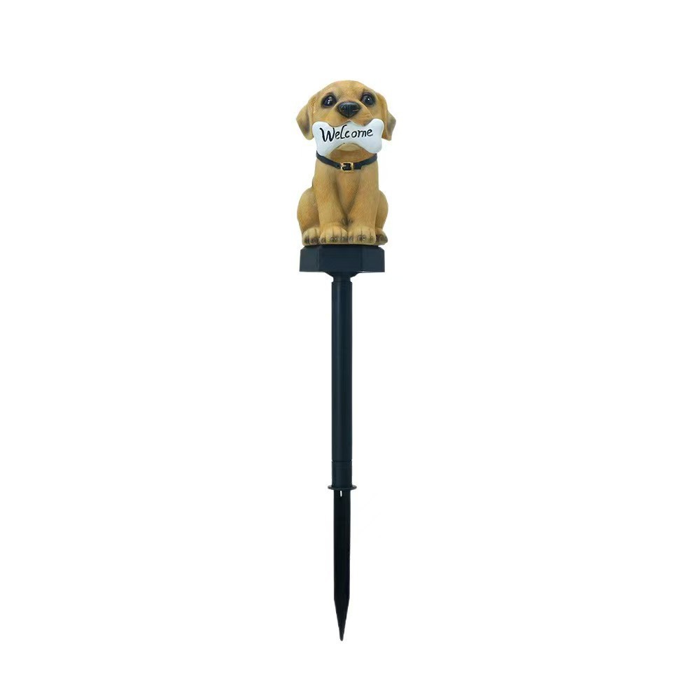 Perro Marrón