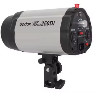 Godox 250DI 250W Studio stroboscopico <span class=keywords><strong>LED</strong></span> luce <span class=keywords><strong>Flash</strong></span> per il ritratto di moda matrimonio e arte fotografia con funzione remota