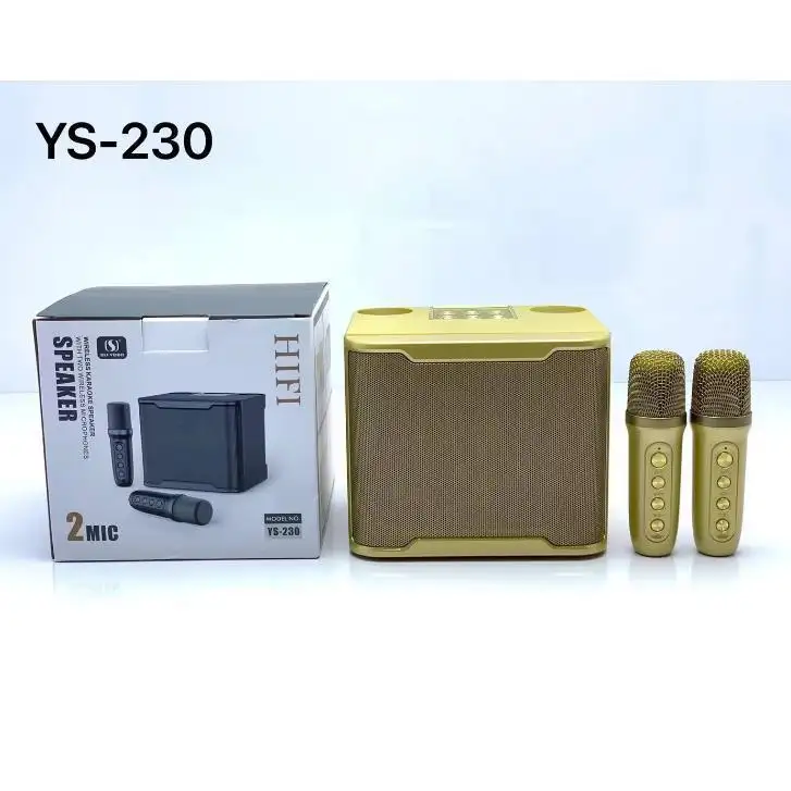 YS230 नई यूएसबी TF दोहरी वायरलेस UHF Mic Subwoofer के साथ 10w मोबाइल फोन टीवी कराओके एम्पलीफायर माइक्रोफोन स्पीकर