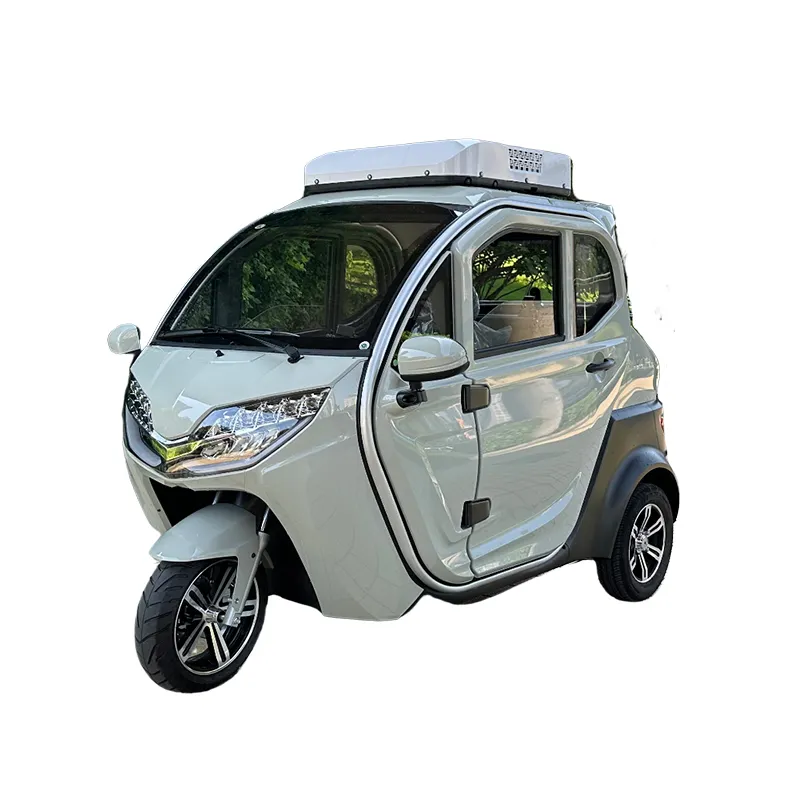 High performance 3KW fashion smart mini electric tricycle