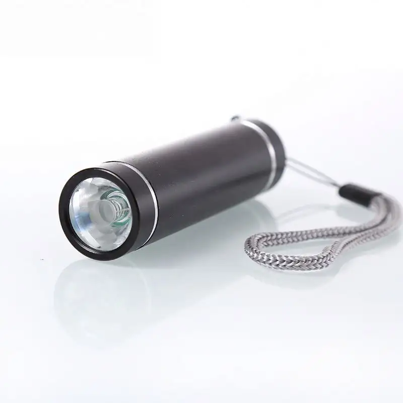 Prezzo a buon mercato professionale 3 * AAA piccolo sole Mini tasca piatta regalo aluminiumtorch Light Led illuminazione torcia promozionale OEM