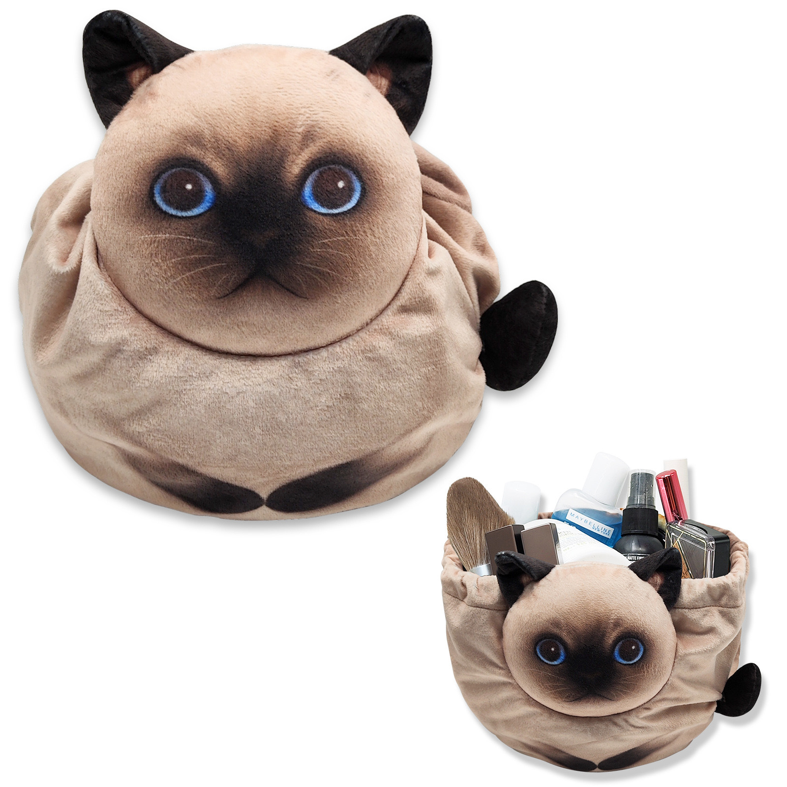 chat siamois