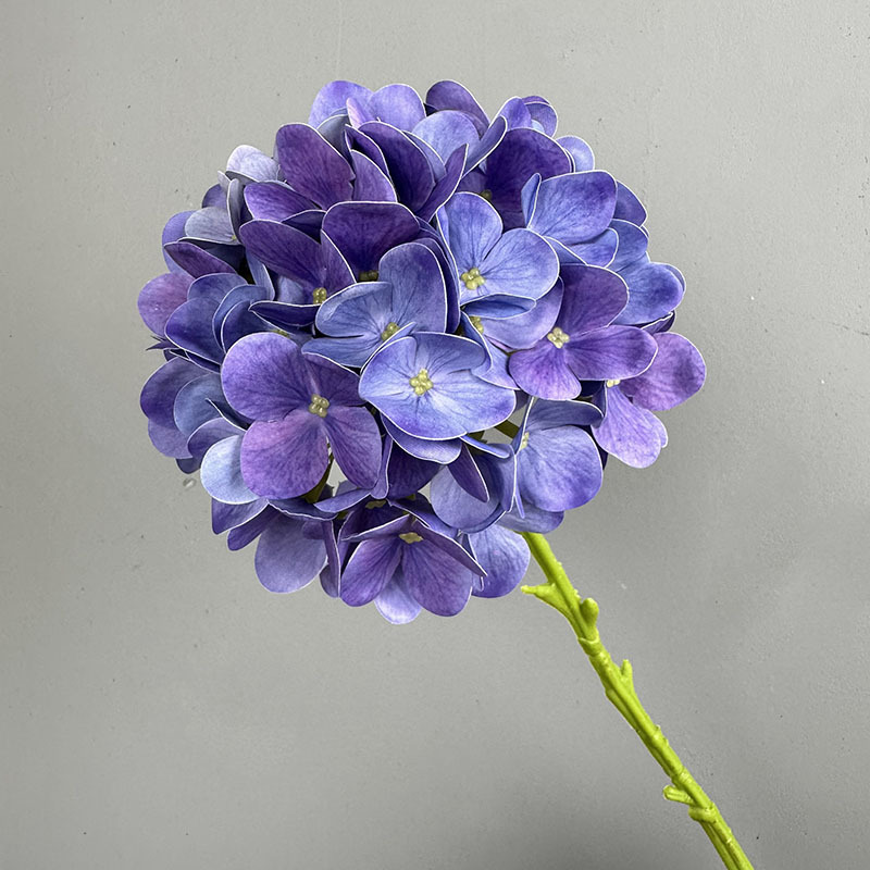 Bleu foncé