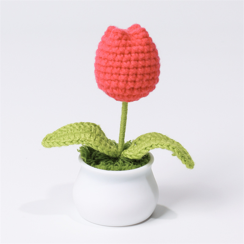 Fat tulip rose red