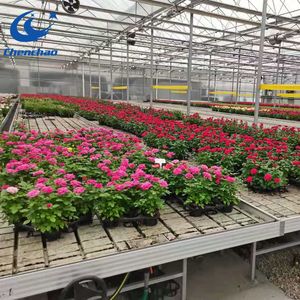 ローリングベンチ温室栽培植物Ebおよびフローテーブル物流ローリングベンチ - Product Image 5