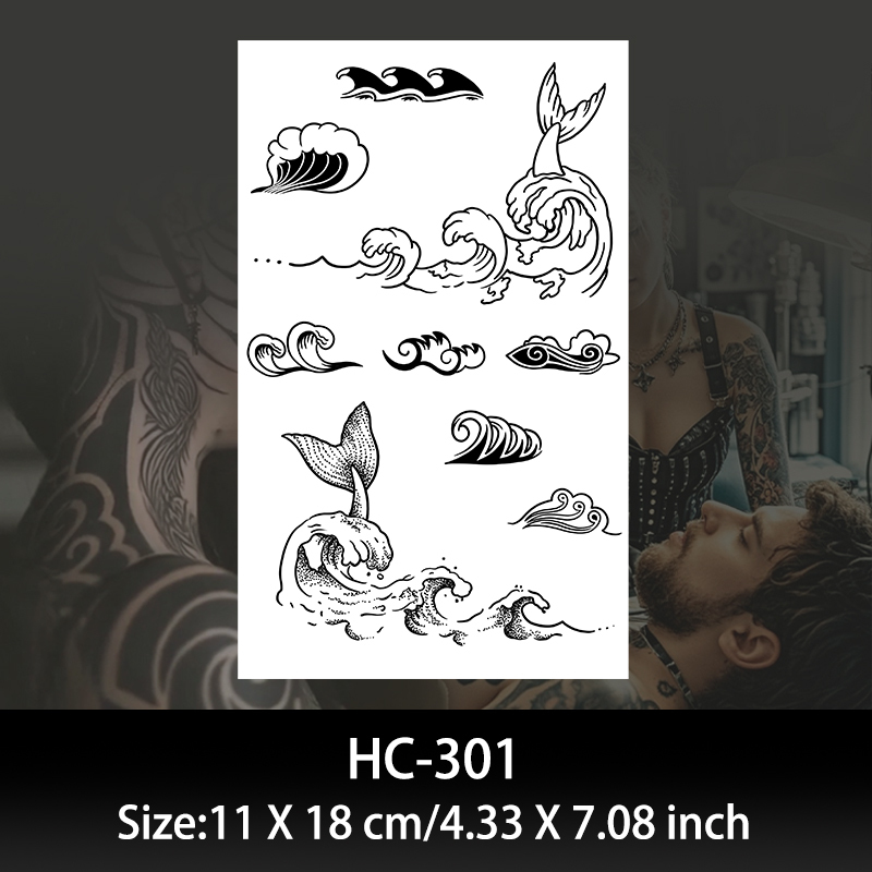 HC301