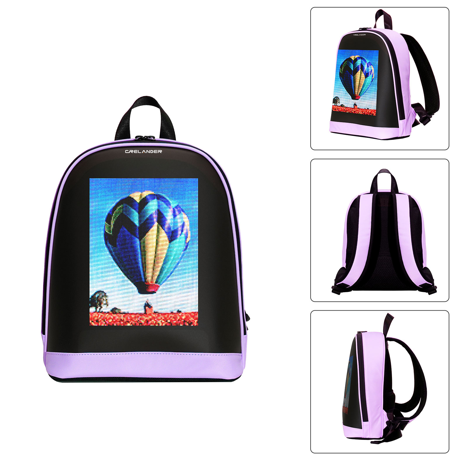 Pourpre