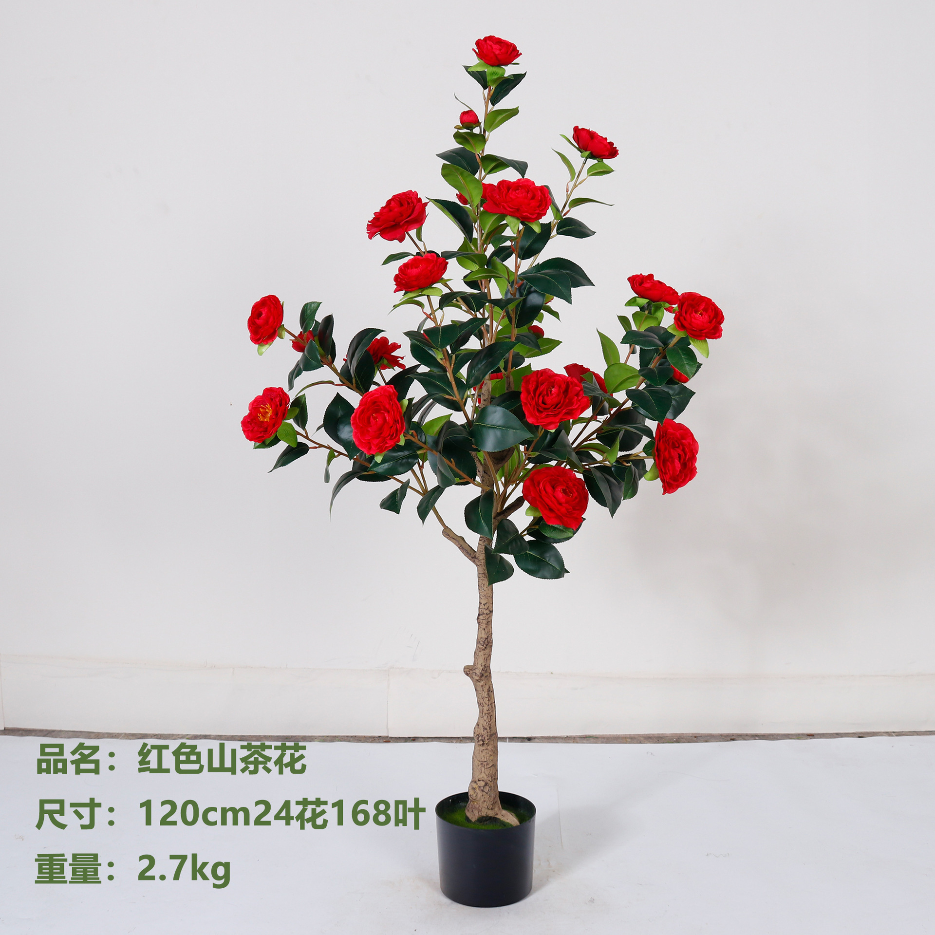 Camélia rouge 120cm