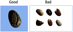 Intelligent Chia Seeds <strong>Grain</strong> Colour Sorter <strong>Sorting</strong> Optic Sorter <strong>Machine</strong> Corn Coffee Bean Soter Seeds <strong>Sorting</strong> <strong>Machine</strong> - Product Image 3