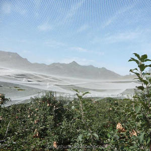 Rete barriera da giardino schermo di protezione a rete Fine copertura per piante a rete per uccelli rete antigrandine - Product Image 5