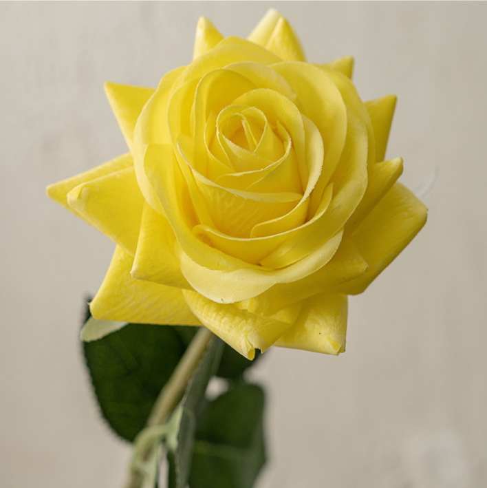 Jaune
