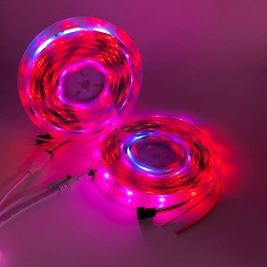 12v Dc 5m 16.4ft 30 Leds Rgbic rüya renk su geçirmez Wifi mavi diş kablosuz akıllı Led şerit işık - Product Image 6