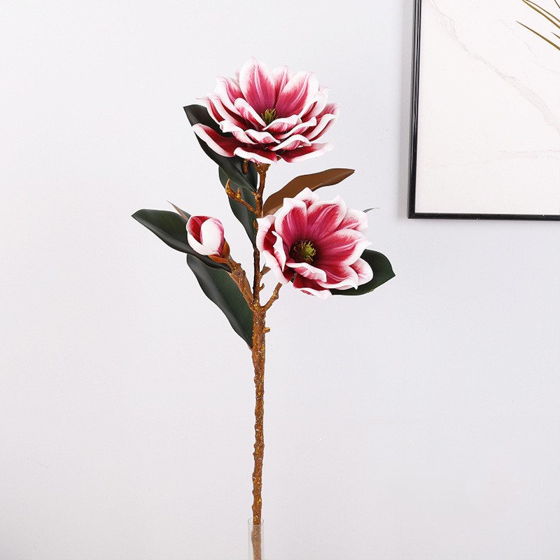 Rose2
