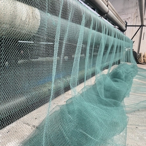High Quality 3ply Mesh 10/12/14/17 Mm100% PE Fishing Net - Product Image 5