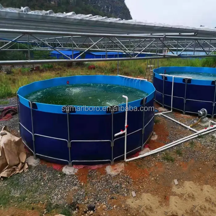 Tanque de peixes de aquacultura de pvc dobrável sdm