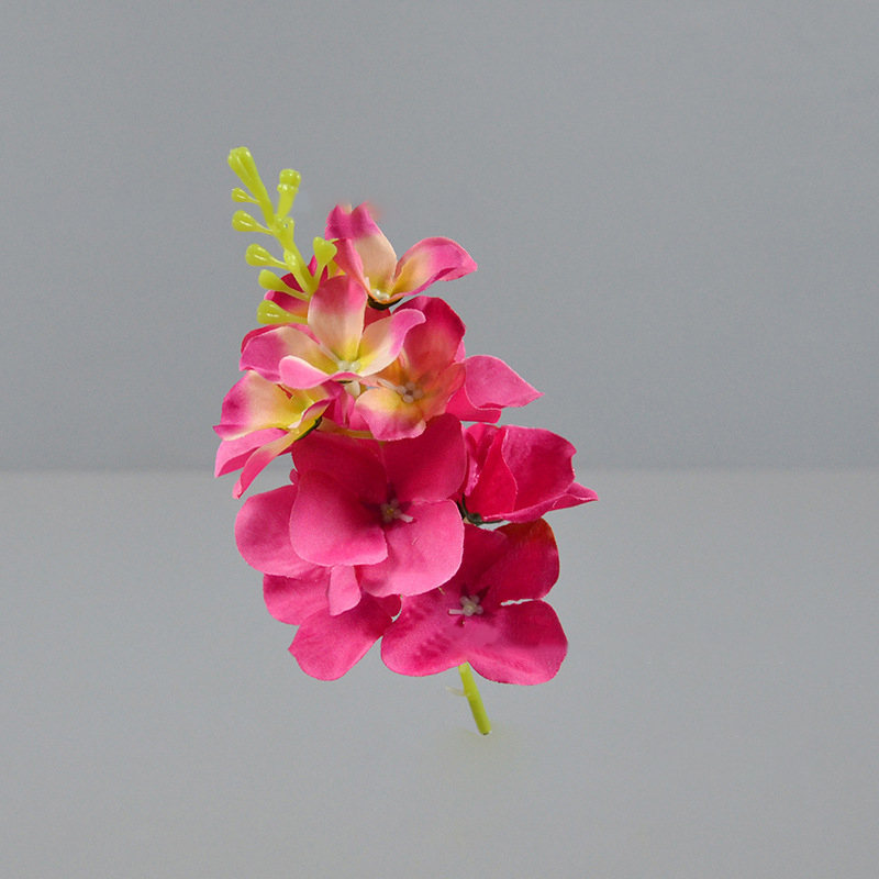 Autumn Rose Red