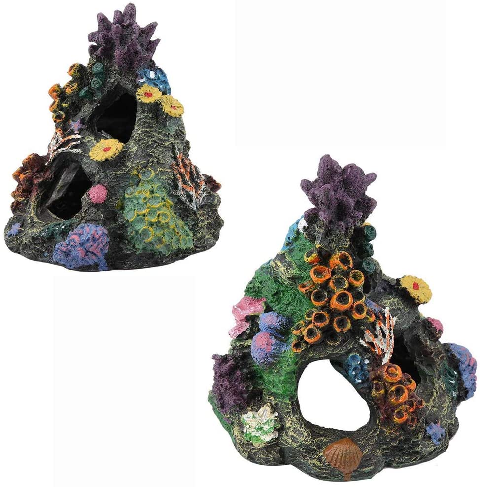 Coral