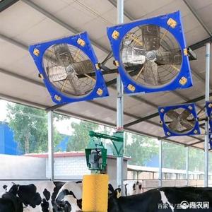 价格便宜的塑料框架1380毫米不锈钢叶片牛悬挂排气扇吊装奶牛农场风扇热卖