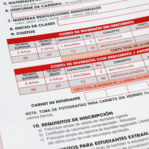 Tờ Rơi Giấy Nghệ Thuật 157Gsm Giá Rẻ Tờ Rơi Tờ Rơi Theo Yêu Cầu Cuốn Sách Catalogue Tờ Rơi Câu Lạc Bộ In Giấy Gấp 12X16 Inch - Product Image 5