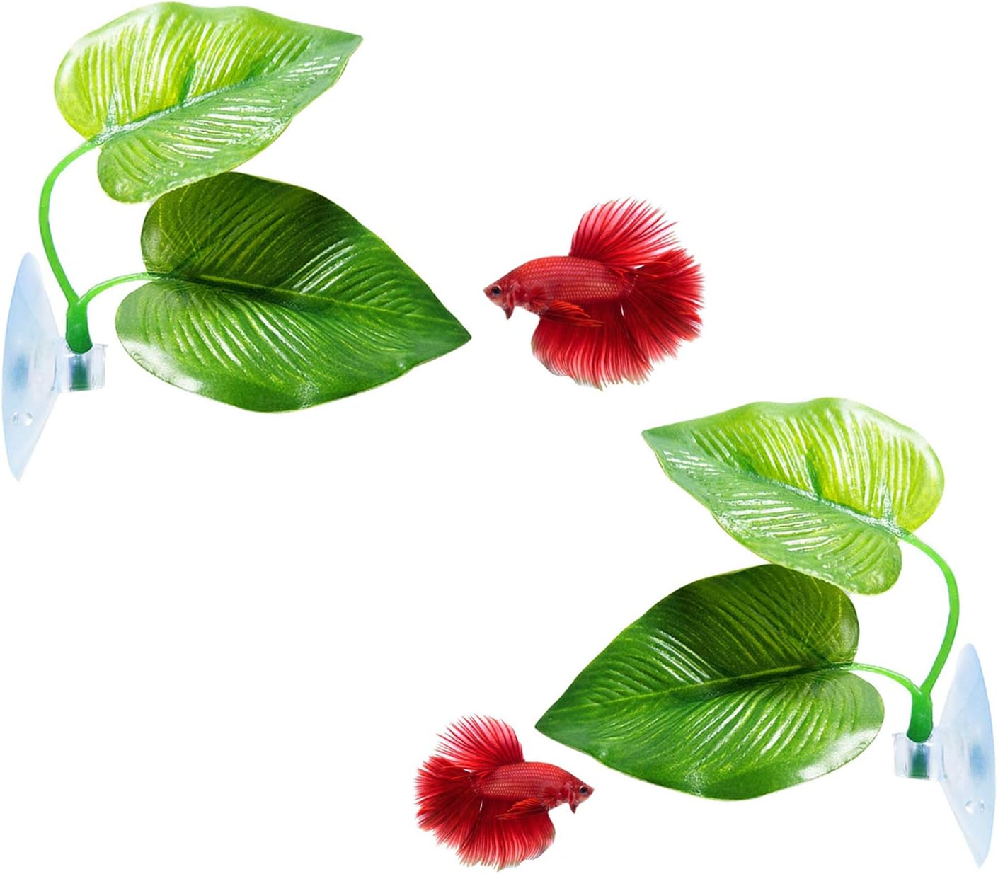 Plantes en plastique