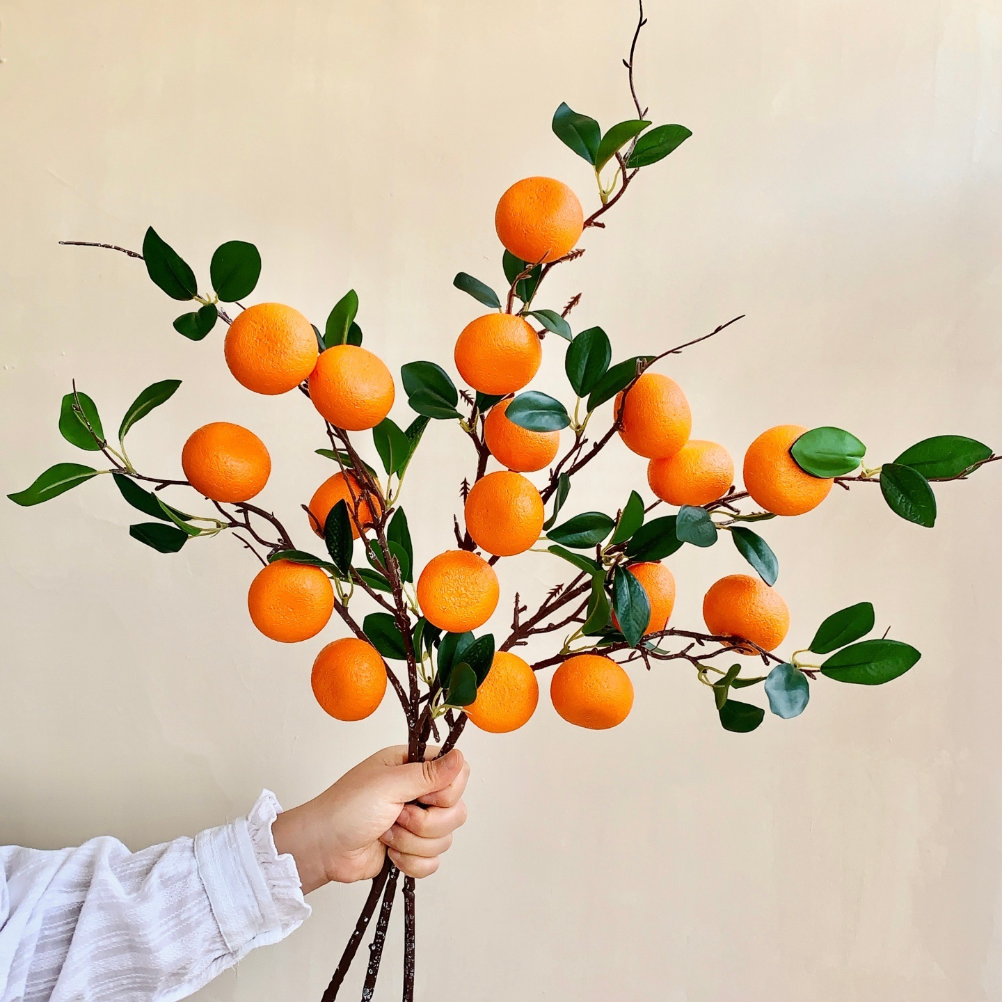 6 naranjas 3