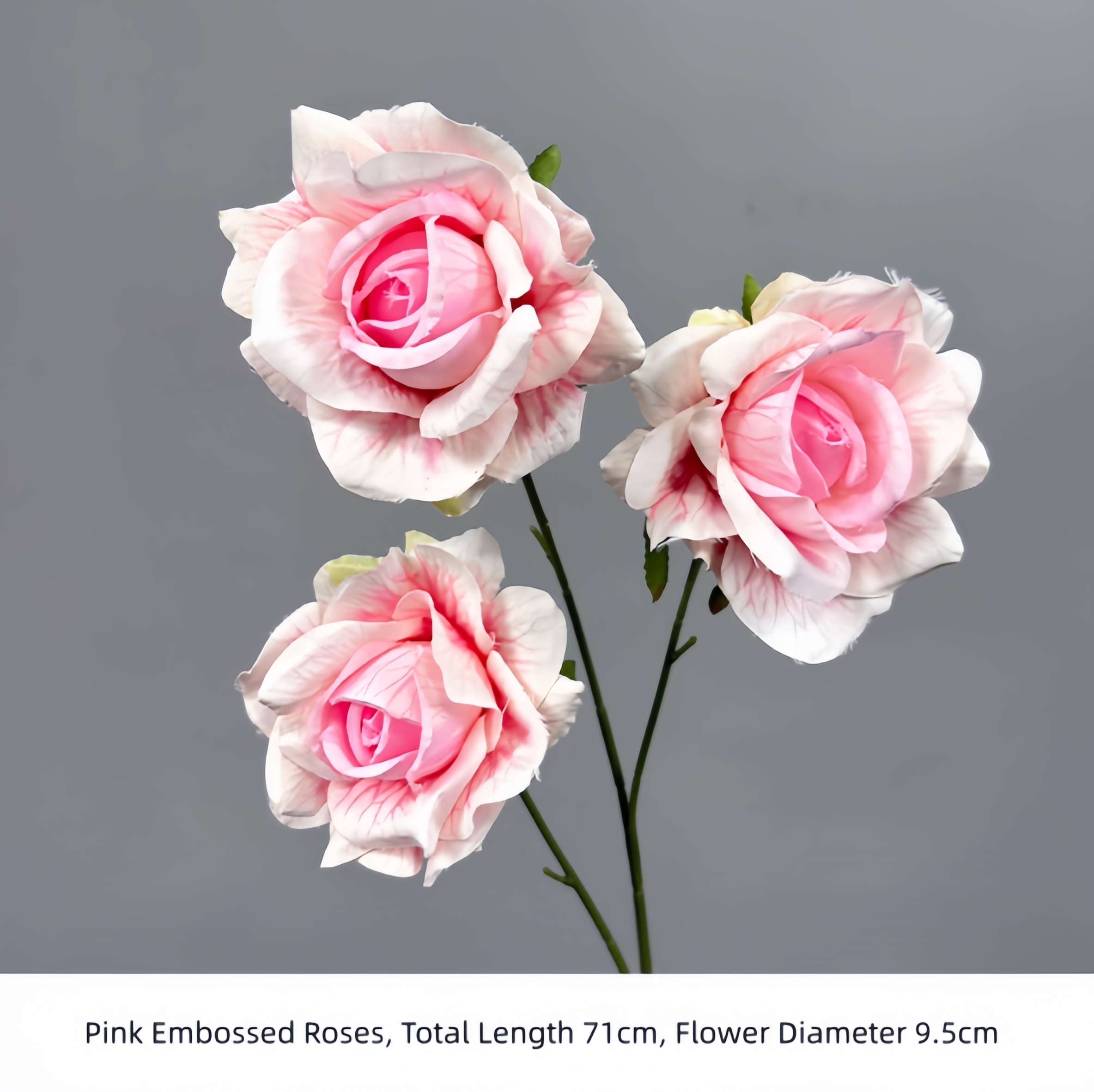 Pink Embossed Roses