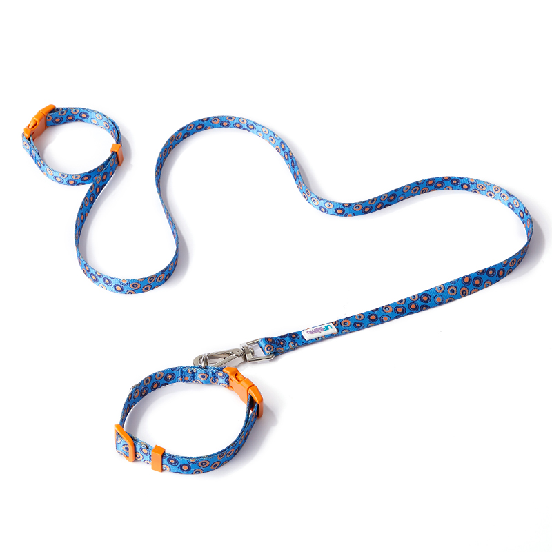 Collar+Leash (Starry Rhapsody)