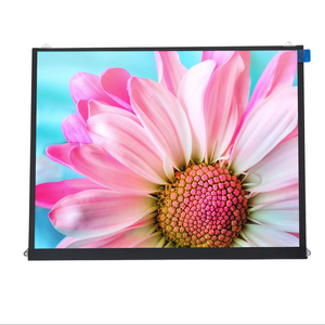 Display LCD da 9.7 pollici TFT con risoluzione 1024x768 LVDS interfaccia pannello a 30 Pin per televisori portatili moduli LCD prodotto - Product Image 1