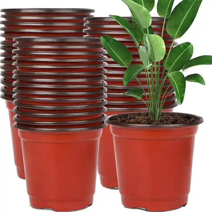 Wholesale Price Plastic Colorful Succulent Flower Pots Nursery Plant Pot