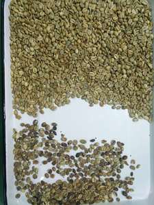 <strong>Color</strong> Sorter for Robusta Coffee <strong>Bean</strong> <strong>Sorting</strong> <strong>Machine</strong> <strong>Cocoa</strong> <strong>Bean</strong> Processing <strong>Machine</strong> - Product Image 6
