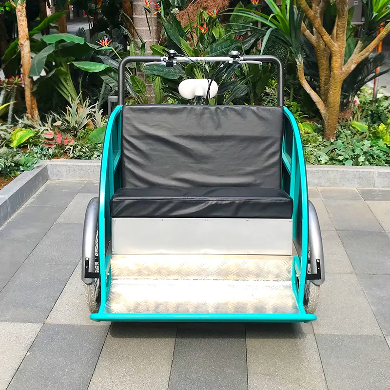 Rickshaw arrière vélo inversé pour personnes handicapées vente directe d'usine