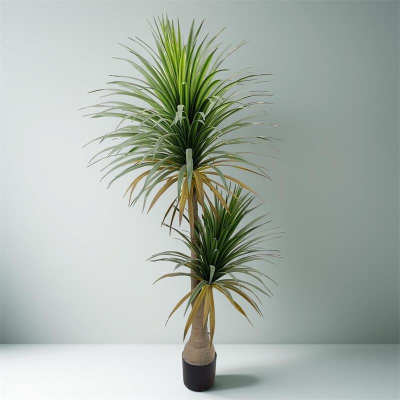 Orchidea a forma di bottiglia di vino verde, altezza 160 cm.