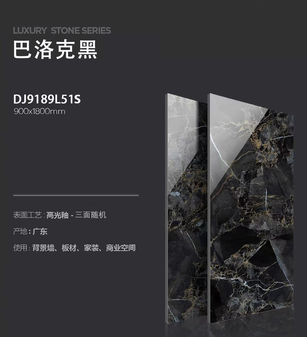 DJ9189L51S