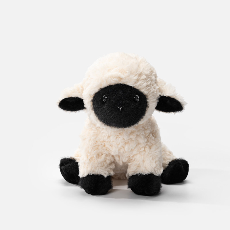 Black-faced little sheep