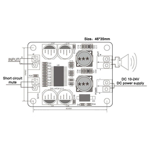 32pin Chip originale TPA3118 DC 12V-24V 60W Mono Audio digitale amplificatore scheda amplificatore - Product Image 6