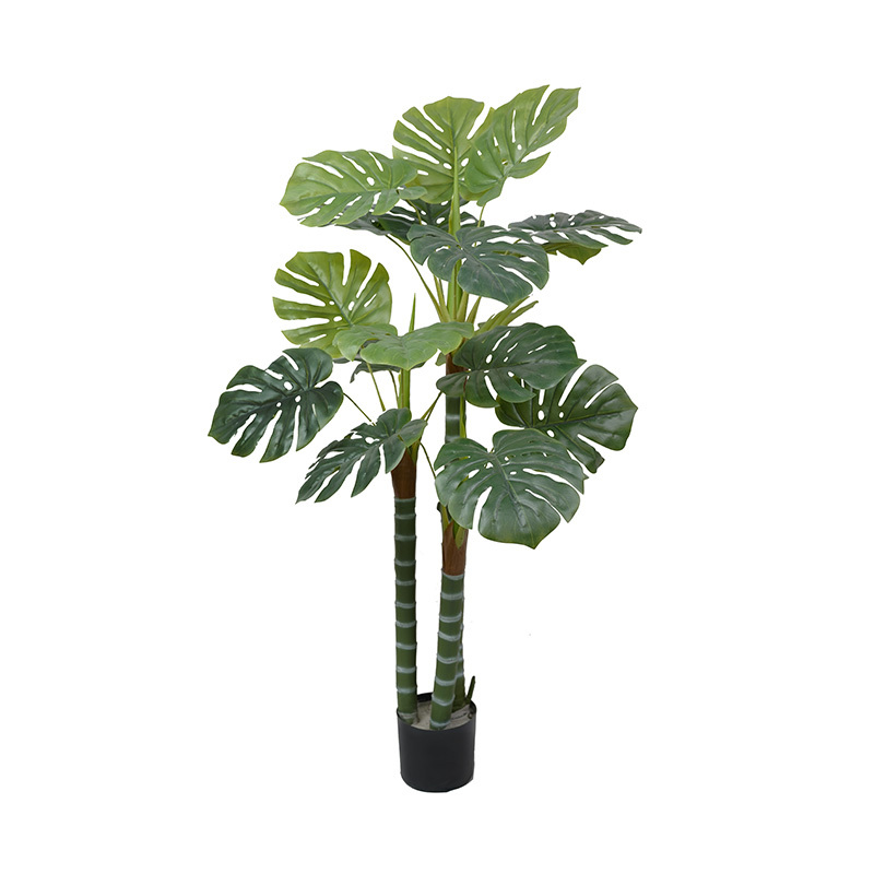 Verde-TZL2503026