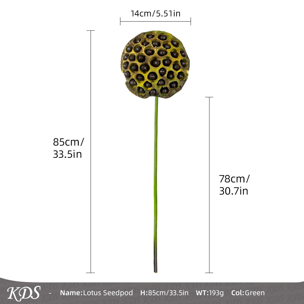 ยางนุ่มเมล็ดบัว