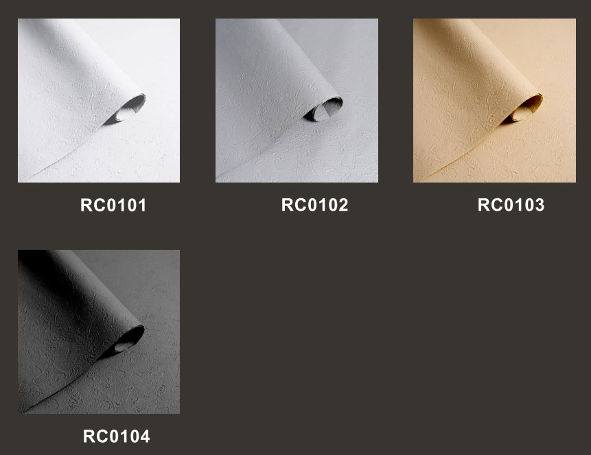 RC0101-04