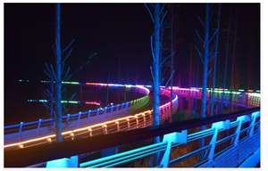 แถบไฟ RGB แบบแถวคู่5730 SMD 120แถว/ม. สายแบบปรับได้พร้อมแถบไฟ LED WS2812B LED Cinta de luces แบบ IP68 - Product Image 3