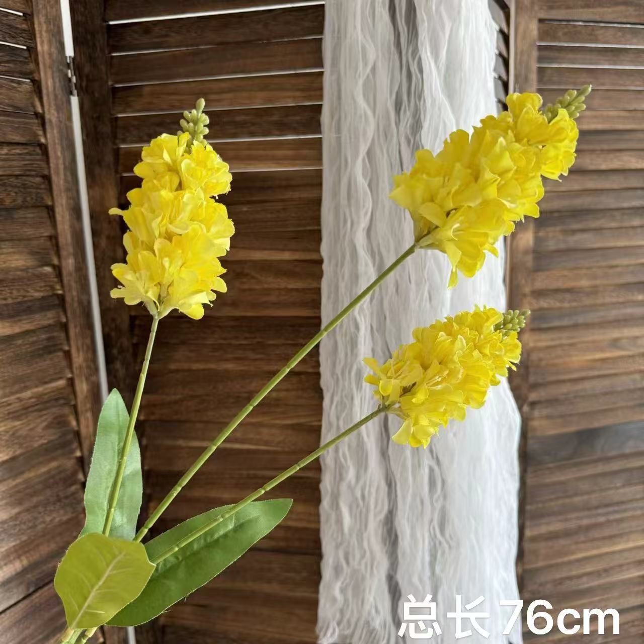 Yellow lavender